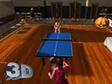 Play on Table Tennis Pro