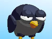 Pigeons Pigeons