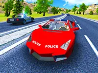 Police Car Stunt Driver