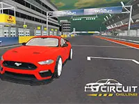 Circuit Challenge