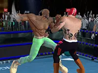 Play on Real Boxing Fighting