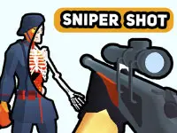 Sniper Shot: Bullet Time