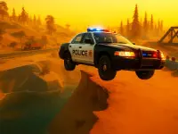 Play on Police